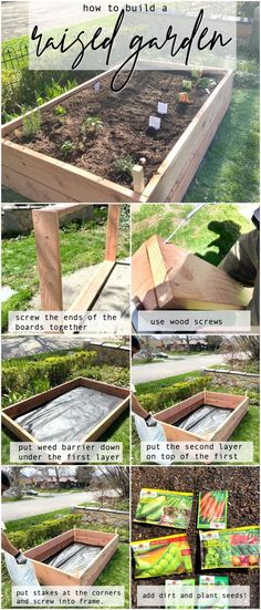 how to build a raised garden bed with lots of plants in it and instructions on how to