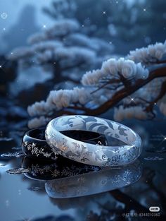 two wedding rings sitting on top of a reflective surface next to snow covered trees and water