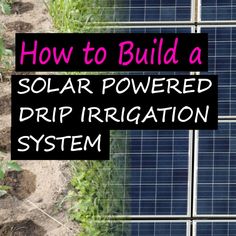 how to build a solar powered drip irrigattion system with text overlay