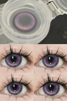 Purple Eyes Contacts, Purple Eye Contacts, Eye Lens Colour, Eye Color Chart, Purple Contacts, Colored Eye Contacts, Eye Contacts, Makeup Face Charts