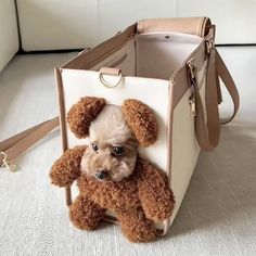 a small dog is sitting in a bag with a teddy bear attached to the handle