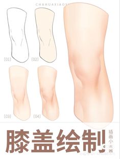 an image of different types of legs and feet in chinese text on a white background