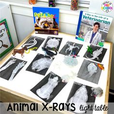 an animal x - ray's are displayed on a table in front of children's books