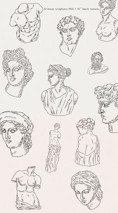 some drawings of different types of busts