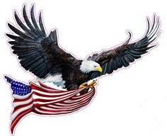 an eagle flying with the american flag on it's back and wings spread out