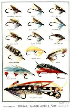 the different types of flies that are available for fishing