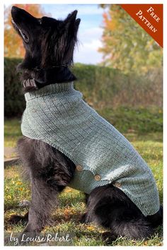 a black dog wearing a sweater in the grass