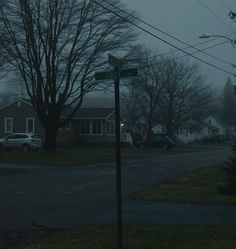 a street sign on the side of a road at night with trees and houses in the background