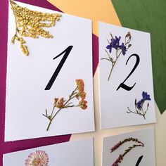 four cards with flowers and numbers on them