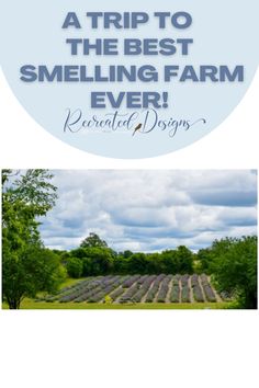 a field with trees and clouds in the background text reads, a trip to the best smelling farm ever revealed designs