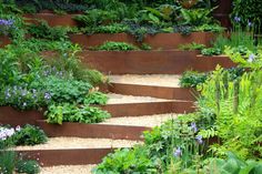 a garden filled with lots of different types of plants and flowers on top of stone steps