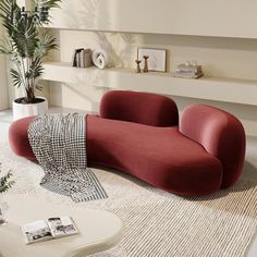 a living room with a couch, coffee table and potted plant on the floor