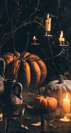 pumpkins and teapots on a table with candles in the dark, surrounded by branches