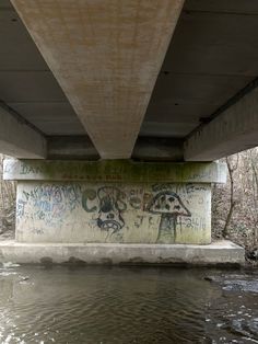 graffiti on the side of a bridge over a body of water with trees in the background