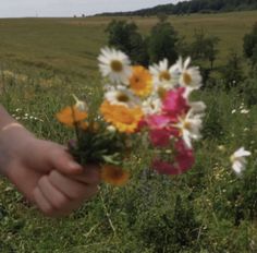 a person holding flowers in their hand while standing on a lush green field with wildflowers