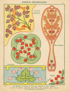 an old book with different types of plants