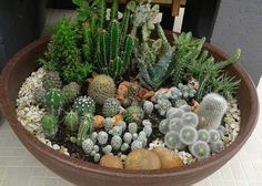 a potted plant filled with lots of succulents on top of a white tile floor