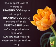 the deepest level of worship is praising god inspires of the pain, thanking god during the time of trials, trusting him when hope and hope