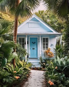 a small blue house surrounded by tropical plants and trees in the foreground is a pathway leading to it's front door