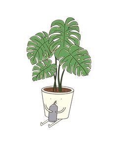 a potted plant with a mouse on it's side and a cat in the middle