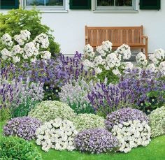 a garden with white and purple flowers in front of a bench on the grass next to some bushes