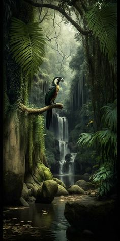 a bird sitting on top of a tree branch in front of a waterfall and jungle