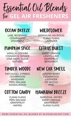 Essential oil blends for gel air fresheners infographic. Includes essential oil recipes for Ocean Breeze, Wildflower, Pumpkin Spice, Citrus Burst, Timber Woods, New Car Smell, Cotton Candy, Hawaiian Breeze. Essential Oil Car Air Freshener Recipes, Wax Air Freshener Recipe, New Car Essential Oil Blend, Diy Car Air Freshener Spray, Essential Oils For Car Air Freshener, Air Freshener Diffuser Blends, Essential Oil Air Freshener Recipes, New Car Smell Essential Oil, Cotton Candy Essential Oil Blend