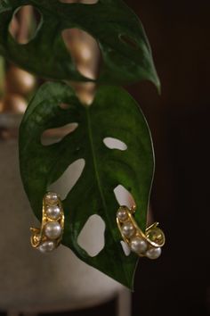 These elegant hoop earrings boast a luxurious gold plating that catches the light beautifully. Each hoop is adorned with delicate pearl details, adding a touch of timeless sophistication. Designed with posts for secure and comfortable wear, they are perfect for both everyday elegance and special occasions. The combination of gold and pearls creates an effortlessly chic accessory that will complement any outfit. Enjoy this piece and Remember you were Designed to conquer great things and we hope t Gold And Pearls, Pearl Details, Everyday Elegance, Pearl Hoop Earrings, Pool Days, Color Swatch, Chic Accessories, White Summer, Shoe Sale