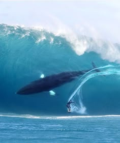 a man riding a wave on top of a surfboard under a large blue ocean