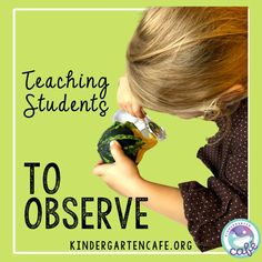 Teaching students to observe is an important first focus for science. This will help you use observational drawings and activities in later units to help students grow their own knowledge. Every time you are having students observe, these are important teaching points and supports to come back to again and again. Observational Drawings, Observational Drawing, Teaching Students, The Natural World