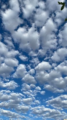 the sky is filled with white clouds and green leaves