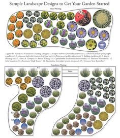 the garden design is shown in two separate sections, each with different plants and flowers