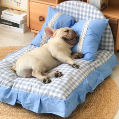 a small dog laying on top of a blue bed