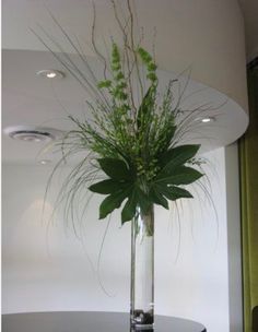 a plant in a vase sitting on top of a black table next to a window