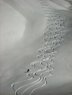 the tracks in the snow are made by people on skis and snowboarders