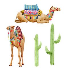 three camels and cactuses are painted in watercolor