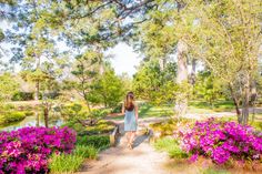 a woman is walking down a path in the park with purple flowers on either side