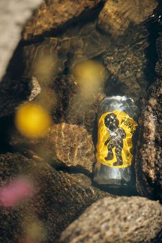 a can of beer sitting on top of some rocks