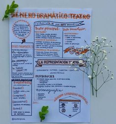 a poster with some writing on it next to white flowers and green leafy stems