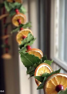 orange slices and leaves are arranged in a line on a window sill with holly