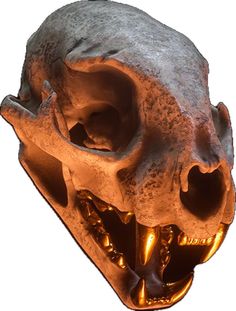 an image of a human skull with its mouth open