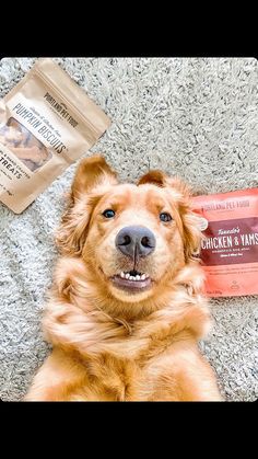 a dog laying on the floor next to a bag of chicken and yams treats