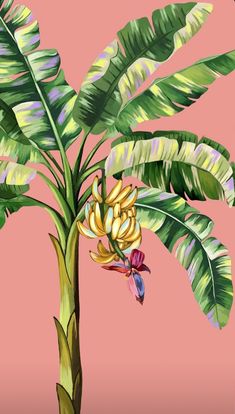 a painting of a banana tree on a pink background