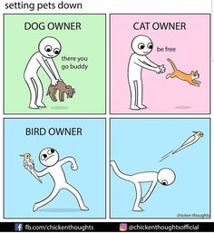 four different types of cats and dogs with caption that reads, getting pets down dog owner