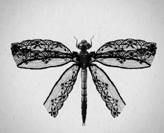 a black and white photo of a dragonfly