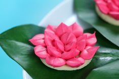 pink flowers on top of green leaves on a white plate