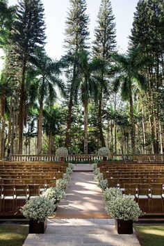 an outdoor ceremony setup with rows of chairs and flowers in the foreground, surrounded by tall pine trees