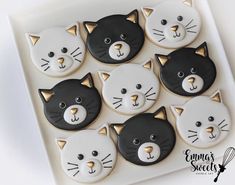 decorated cookies in the shape of cats on a white plate with gold trimmings