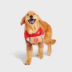 a brown dog wearing a red and white shirt with an arrow on it's chest