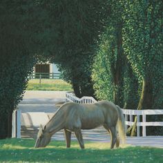 a painting of a horse eating grass in front of a white fence and some trees